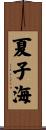夏子海 Scroll