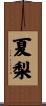 夏梨 Scroll