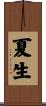 夏生 Scroll