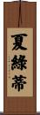 Charlotte Scroll