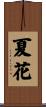 夏花 Scroll