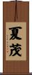 夏茂 Scroll