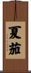 夏茄 Scroll
