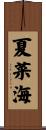夏菜海 Scroll