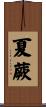 夏蕨 Scroll