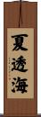 夏透海 Scroll