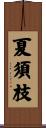 夏須枝 Scroll
