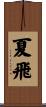 夏飛 Scroll