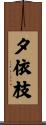 夕依枝 Scroll