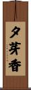 夕芽香 Scroll