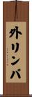 外リンパ Scroll