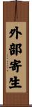 外部寄生 Scroll