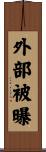 外部被曝 Scroll
