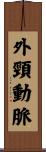 外頸動脈 Scroll