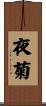 夜菊 Scroll
