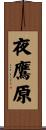 夜鷹原 Scroll