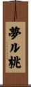 夢ル桃 Scroll