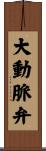 大動脈弁 Scroll