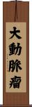大動脈瘤 Scroll