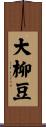 大柳豆 Scroll