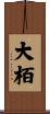 大栢 Scroll