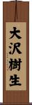 大沢樹生 Scroll
