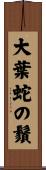 大葉蛇の鬚 Scroll