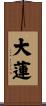 大蓮 Scroll