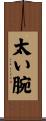 太い腕 Scroll