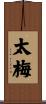太梅 Scroll