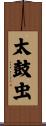太鼓虫 Scroll
