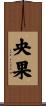 央果 Scroll