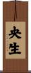 央生 Scroll