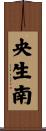 央生南 Scroll