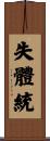 失體統 Scroll