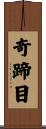 奇蹄目 Scroll