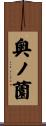奥ノ薗 Scroll