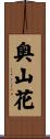 奥山花 Scroll
