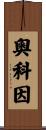 Aucoin Scroll