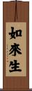 如來生 Scroll