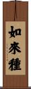 如來種 Scroll