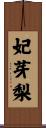 妃芽梨 Scroll