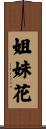 姐妹花 Scroll