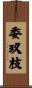 委玖枝 Scroll