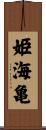 姫海亀 Scroll