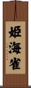 姫海雀 Scroll