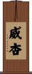 威杏 Scroll