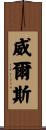 Wells Scroll