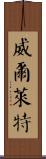 Willett Scroll