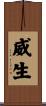 威生 Scroll